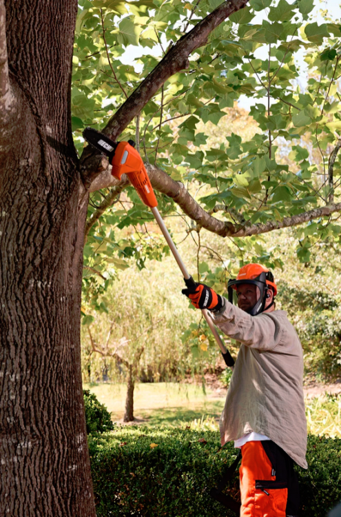 Echo 40v Lightweigh Power Pruner (Battery) DPPF-310 - DPPF-310Image2.png