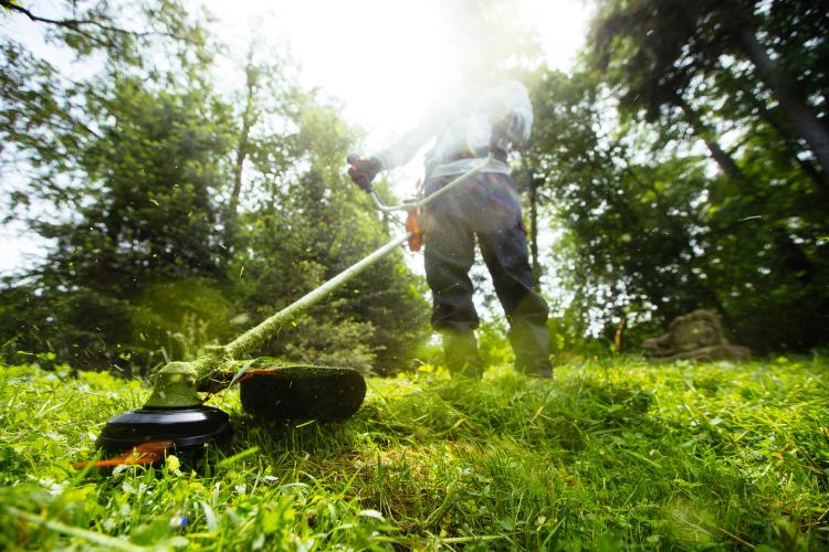 Echo Double Handled Trimmer and Brushcutter SRM-420TES/U - JBP_ECHO_BRUSH-2836.jpg
