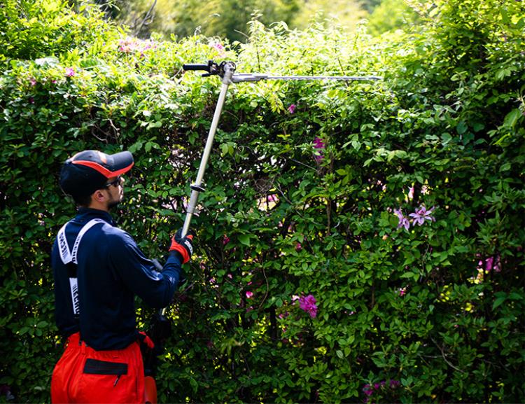 Echo Pro Attachment Hedge Trimmer MTA-DAH - MTA-DAH_2__block_text_image.jpg
