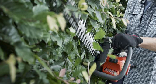 Trimming - Toms Mowers and Garden Supplies